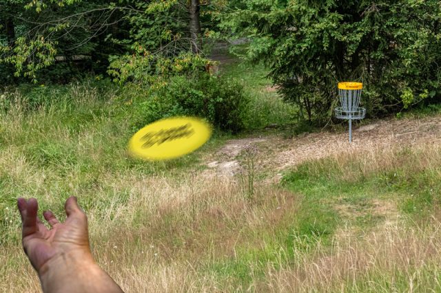 Disc-Golf Bergparcour Altenau