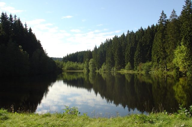 Oberharzer Wasserwirtschaft